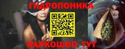гидра Дубна