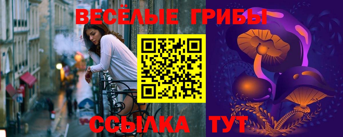 Псилоцибиновые грибы мухоморы Тимашёвск