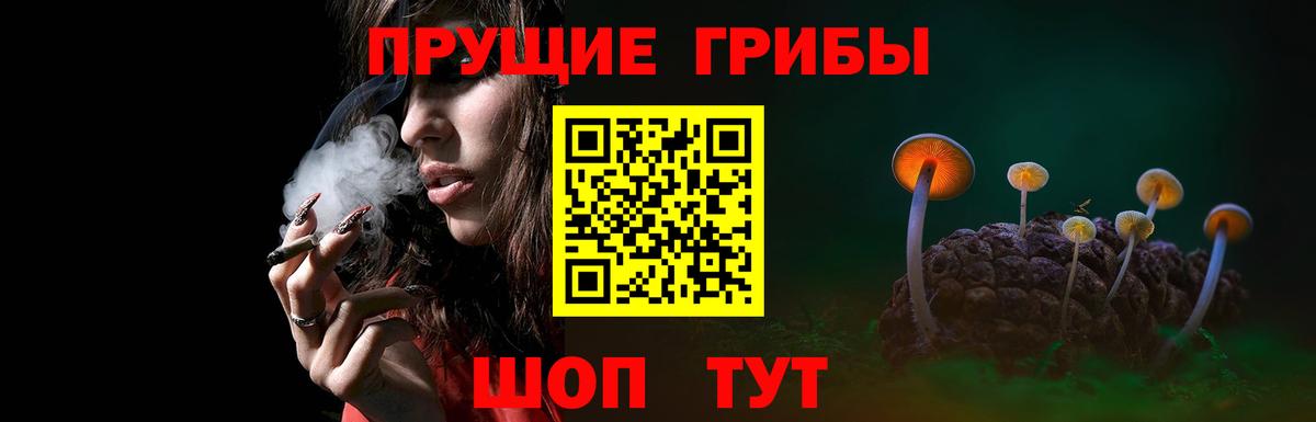 Галлюциногенные грибы MAGIC MUSHROOMS  Вход с VPN  Тимашёвск 